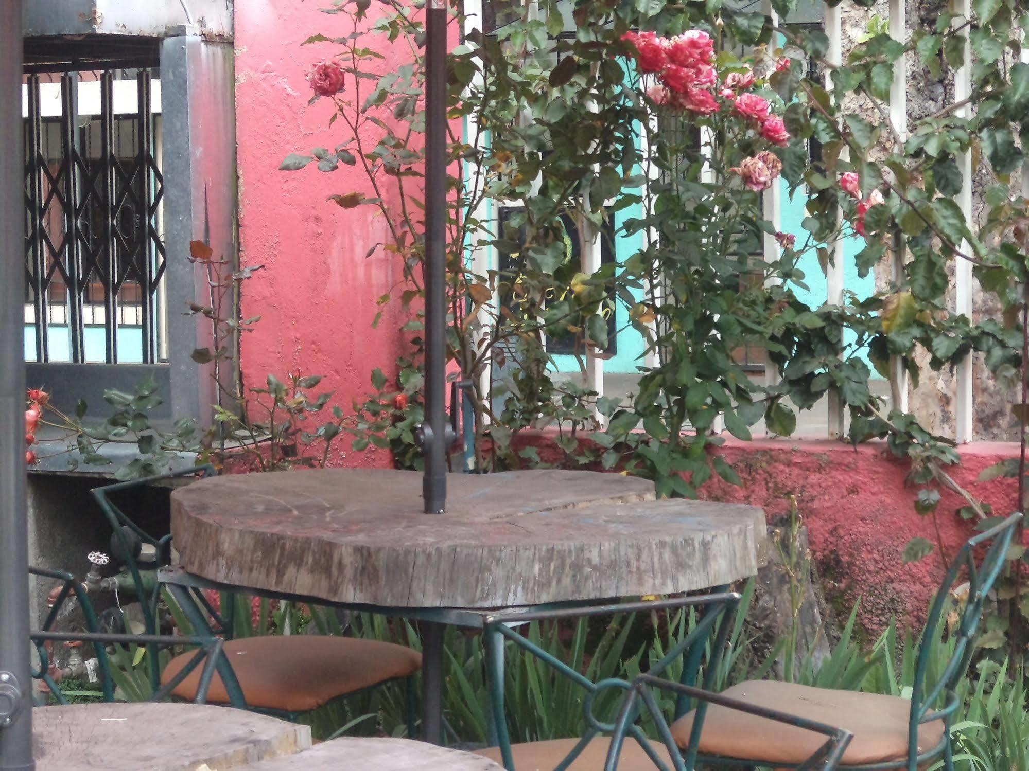 Hostal Imperial كويتو المظهر الخارجي الصورة